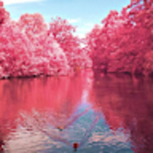 Meet your Posher, Deborah